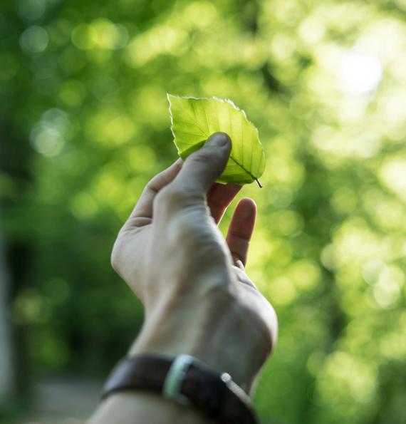 الاستدامة فندق الخوري كورتيارد Dubái الاستدامة فندق الخوري كورتيارد Dubái