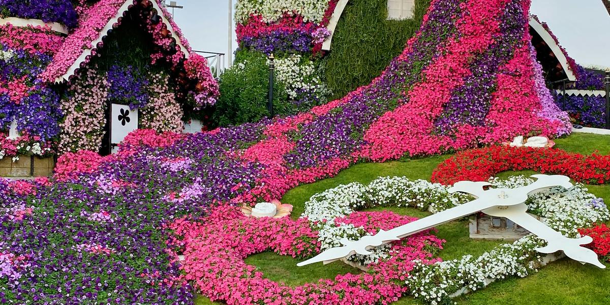 DUBAI MIRACLE GARDEN Al khoory Hotels DUBAI MIRACLE GARDEN Al khoory Hotels